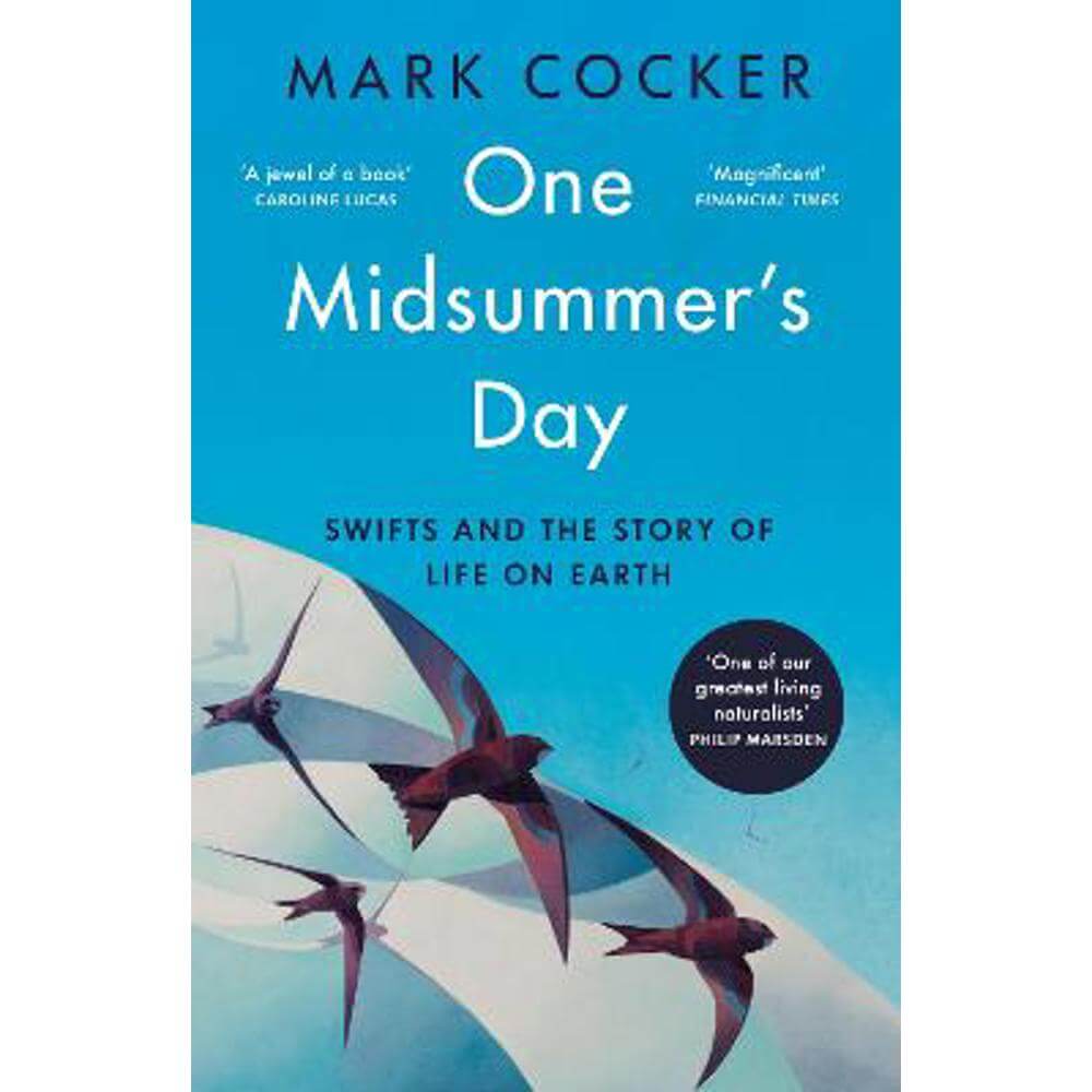 One Midsummer's Day: Swifts and the Story of Life on Earth (Paperback) - Mark Cocker